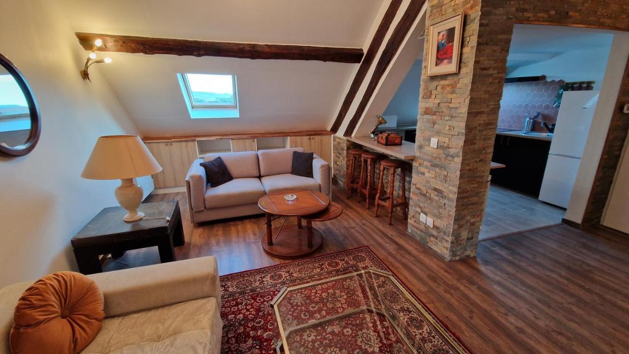Apartament La Cigogne Château-Thierry Zewnętrze zdjęcie